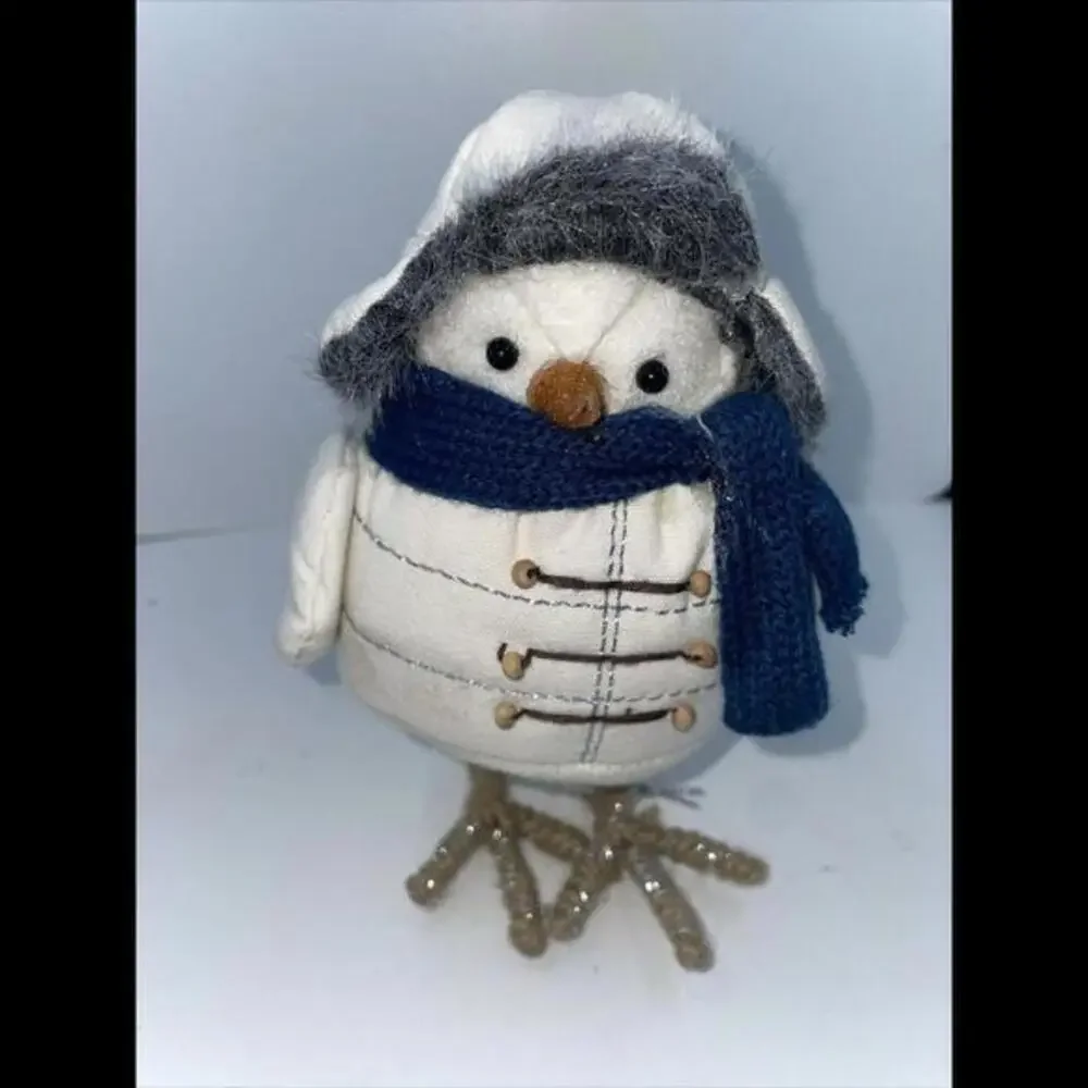 Target Wondershop‎ Bird 2018 FORREST Winter White Coat Blue Scarf